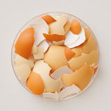 Eggshell Membrane