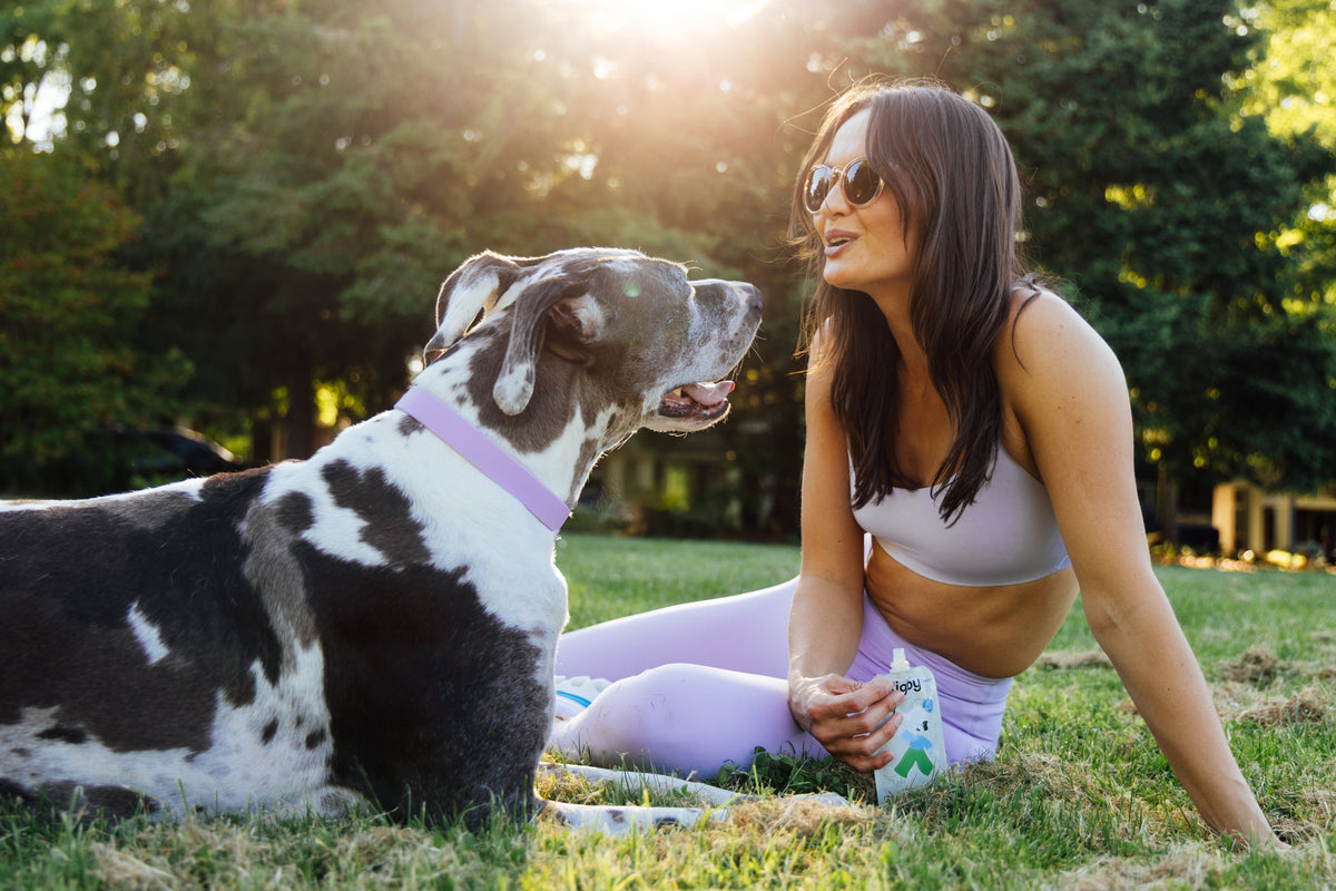 Woman sitting on grass with a large black and white dog looking at each other while holding a Rigby pouch.
