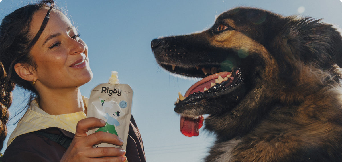 A smiling woman with braided hair holds up a Rigby for Dogs pouch to a happy German Shepherd mix against a clear blue sky.