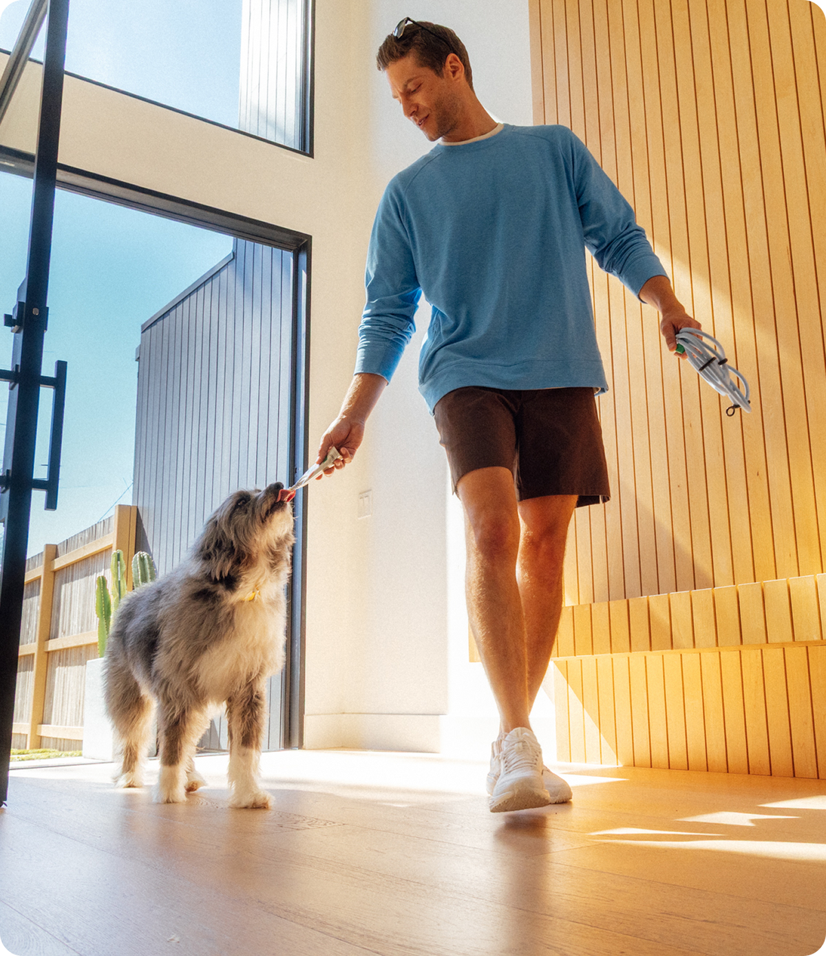 Man feeding Rigby pouch to a dog while walking indoors past the entrance door with a large window.