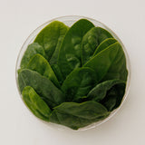Organic Spinach