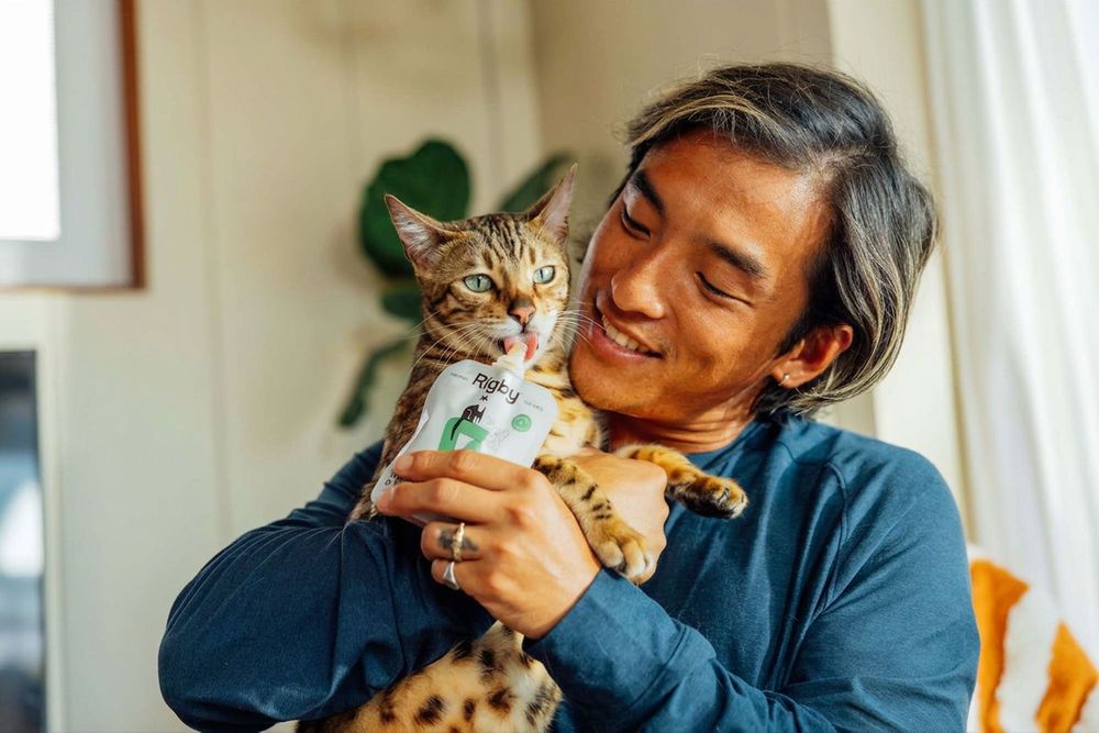 A smiling man in a navy shirt cradles a Bengal cat as it licks puree from a Rigby for Cats pouch.