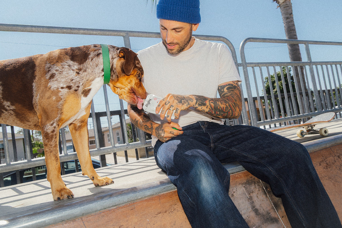 A tattooed man in a blue beanie sits on the edge of a skate park ramp, feeding a spotted brown dog with a green collar from a Rigby for Dogs pouch.