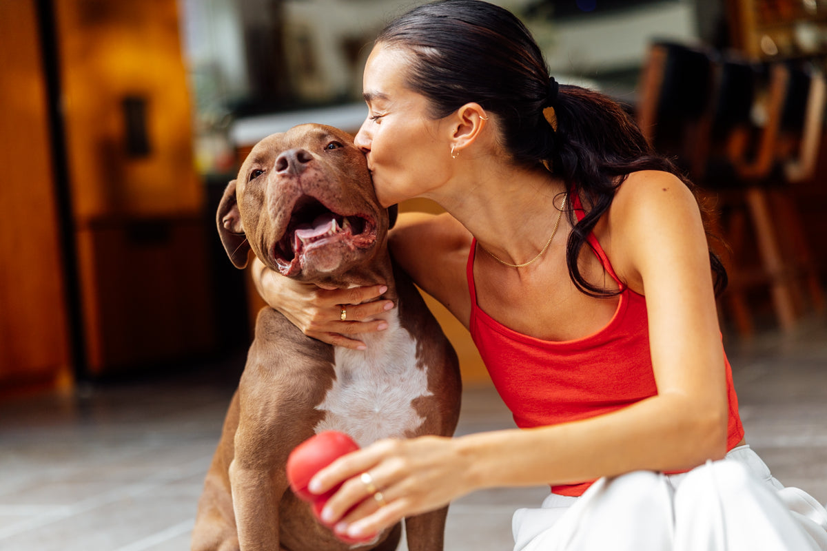 A woman in a red tank top kisses the head of her happy brown pit bull mix while holding a red chew toy.