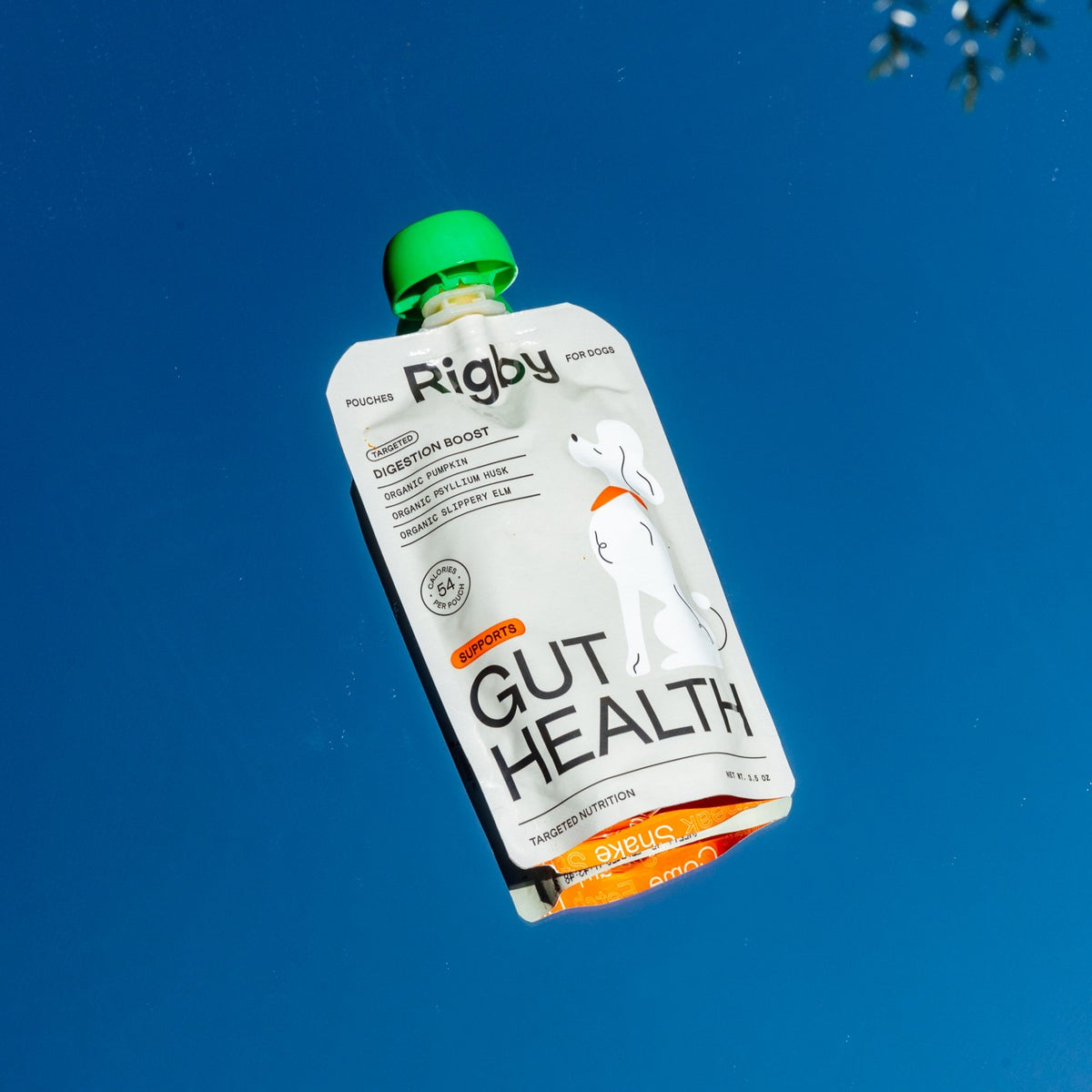 Gut Health | 6-Pack