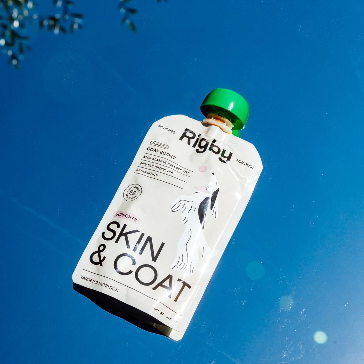 Skin & Coat | 6-Pack