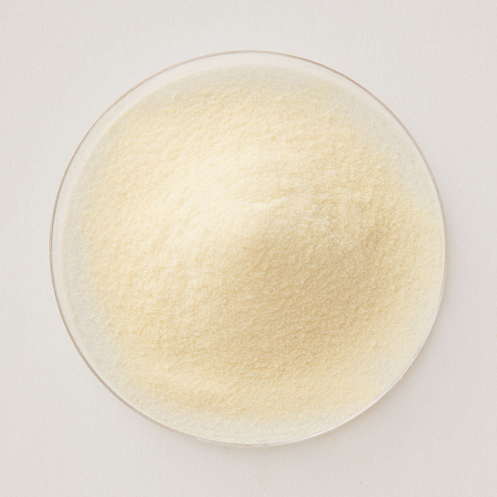 Collagen powder in a glass dish, viewed from above.