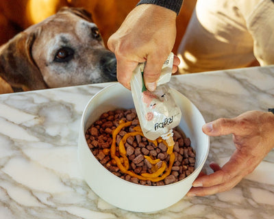 Person pouring dog food into a bowl on top of kibbles with a dog watching and waiting.
