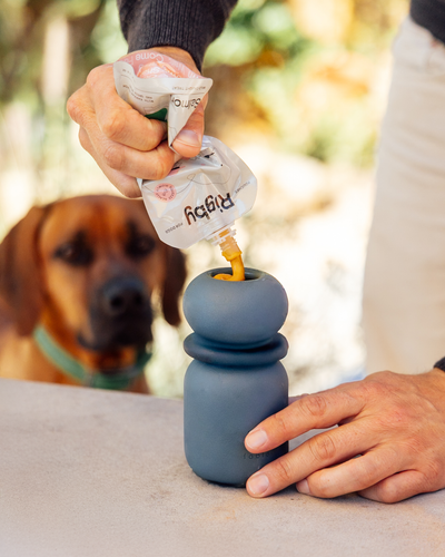 Person using a blue pet treat dispenser with a dog in the background