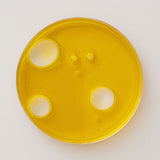 Organic Extra Virgin Olive Oil