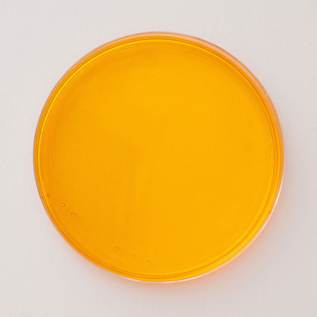 Golden wild Alaskan pollock oil in a glass dish, viewed from above.