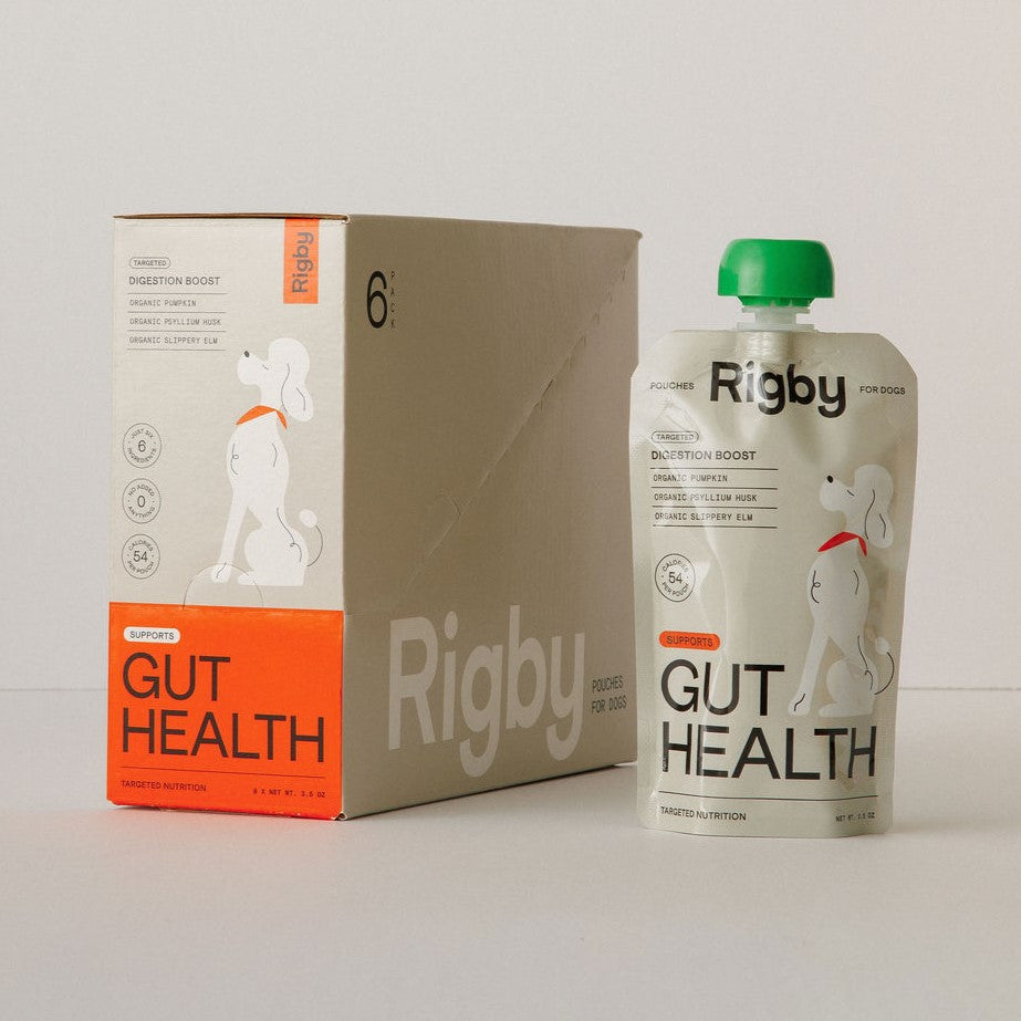 Gut Health | 6-Pack