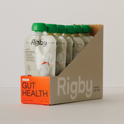 Gut Health | 6-Pack