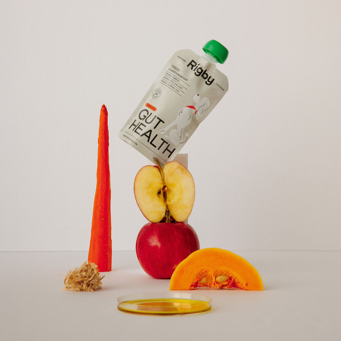 Gut Health | 6-Pack