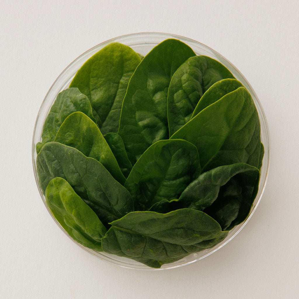 Fresh spinach leaves in a glass dish, viewed from above.